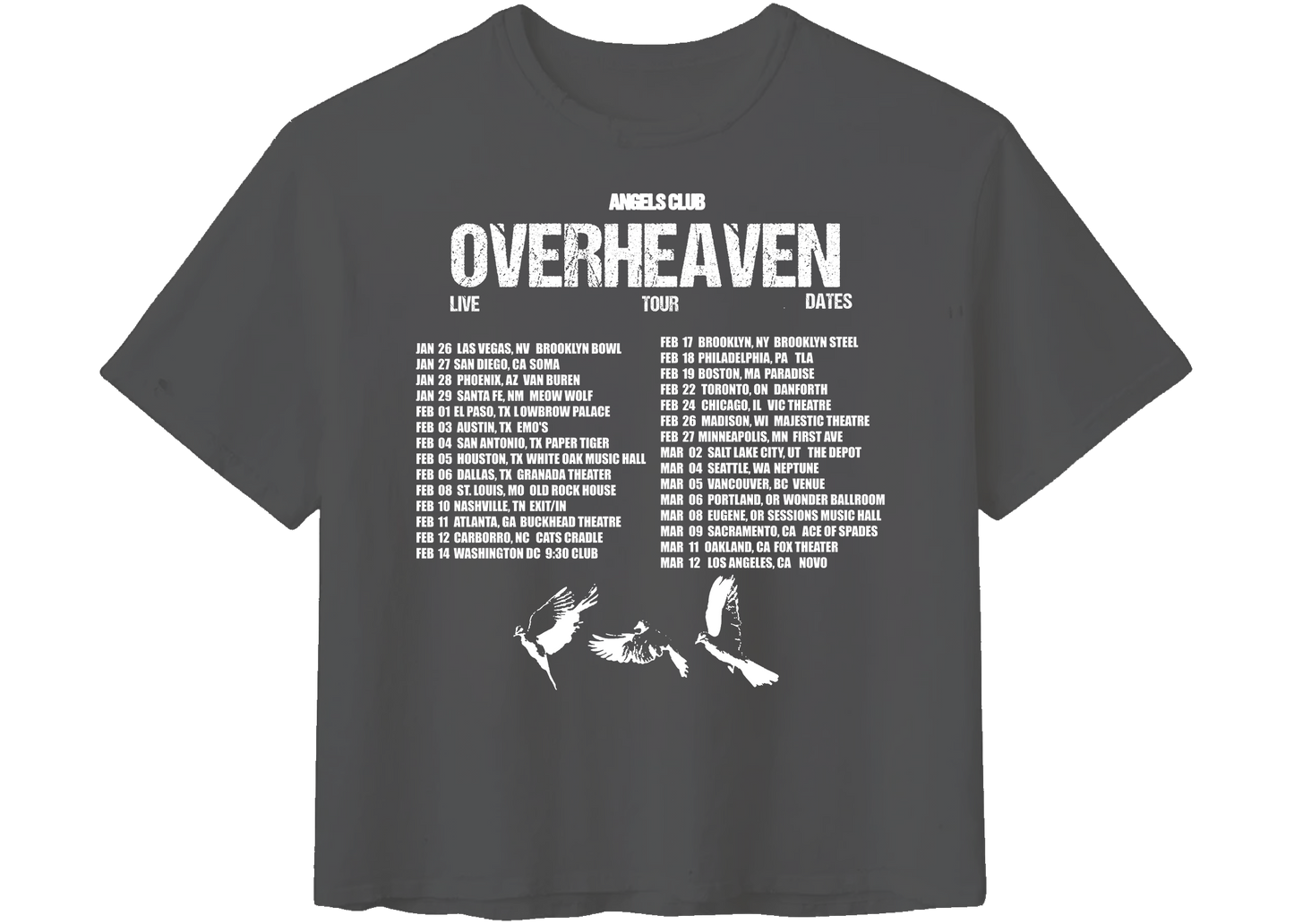 Reverse Tour T-shirt